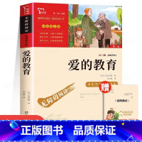 [六年级上册必读]爱的教育 [正版]童年高尔基 童年六年级必读课外书小英雄雨来六年级上册必读的课外书 爱的教育童年高尔基