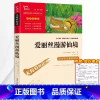 [六年级下册必读]爱丽丝漫游仙境 [正版]童年高尔基 童年六年级必读课外书小英雄雨来六年级上册必读的课外书 爱的教育童年