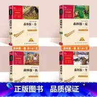 森林报春夏秋冬全四册 [正版]森林报春夏秋冬全4册 快乐读书吧四年级全集五六年级下册必读的课外书绘本必读老师儿童文学读物