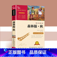 森林报秋 [正版]森林报春夏秋冬全4册 快乐读书吧四年级全集五六年级下册必读的课外书绘本必读老师儿童文学读物小学生课外阅