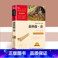 森林报春 [正版]森林报春夏秋冬全4册 快乐读书吧四年级全集五六年级下册必读的课外书绘本必读老师儿童文学读物小学生课外阅