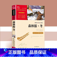 森林报冬 [正版]森林报春夏秋冬全4册 快乐读书吧四年级全集五六年级下册必读的课外书绘本必读老师儿童文学读物小学生课外阅