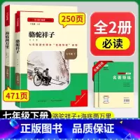 [2本必读★全国版 ]骆驼祥子+海底两万里 [正版]名校课堂骆驼祥子和海底两万里原着必读老舍国一下册的课外书初一7下名著