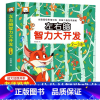 左右脑智力大开发(2-3岁) [正版]儿童全脑开发思维逻辑升级训练游戏书2-3-4-5岁左右脑强大脑开发训练书籍小班中班