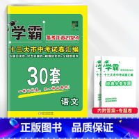 [2024]中考语文 初中通用 [正版]备考2024学霸江苏13十三大市中考试卷汇编30三十28二十八套数学语文英语物理