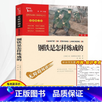 钢铁是怎样炼成的正版 [正版]3本24元 列那狐的故事五年级上册快乐读书吧老师名著完整版小学生课外阅读书籍读物三四六年级