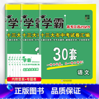 [2024]语数英 套装3本 初中通用 [正版]备考2024学霸江苏13十三大市中考试卷汇编30三十28二十八套数学语文