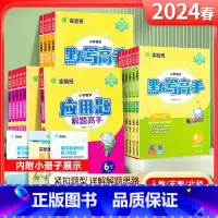[默写+应用解题高手]语数-北师版 一年级下 [正版]2024春雨实验班应用解题高手一年级二年级三年级四4五5六下册语文