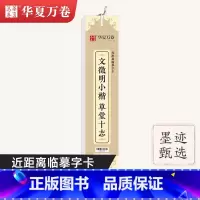 12.小楷·文徵明-草堂十志(53页) [正版]毛笔书法近距离临摹字卡楷书灵飞王羲之行书兰亭序临帖赵孟俯小楷字帖洛神赋钟