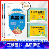 (4本)语文+数学[真题刷+考练测] 小学升初中 [正版]小升初真题卷2024 53小升初总复习考前讲练测语文数学英语3