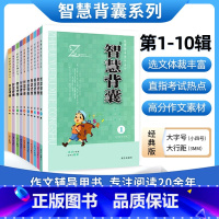 智慧背囊1-10辑 小学通用 [正版]智慧背囊1-5辑共五本智慧背囊大全集南方出版社2022初中版小学版课外阅读书籍语文