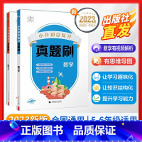 (2本)语文+数学[真题刷] 小学升初中 [正版]小升初真题卷2024 53小升初总复习考前讲练测语文数学英语3本全套小