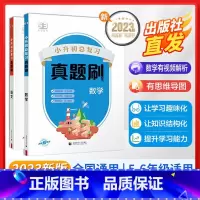 (2本)语文+数学[真题刷] 小学升初中 [正版]小升初真题卷2024 53小升初总复习考前讲练测语文数学英语3本全套小