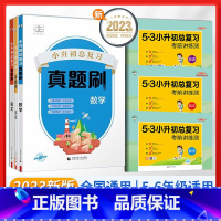 (6本)语文+数学+英语[真题刷+考练测] 小学升初中 [正版]小升初真题卷2024 53小升初总复习考前讲练测语文数学