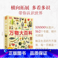 DK万物大百科 [正版]金银封面 DK万物大百科+DK知识大百科全套2册6-7-10岁dk百科全书军事恐龙太空宇宙动物地