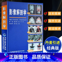 [正版]丹麦引进影像解剖学 X线CT磁共振MRI超声波诊断医学超声波影像学诊断原理与技术图谱图解影像解剖学临床解剖学图谱