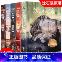 动物小说经典系列第一辑5册 [正版]沈石溪动物小说全集全套5册 动物小说大王沈石溪的书全系列精品珍藏版 小学生课外阅读书