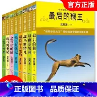 中外动物小说精品:第四辑8册 [正版]沈石溪动物小说全集全套5册 动物小说大王沈石溪的书全系列精品珍藏版 小学生课外阅读