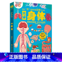 大系列科普立体书-大身体 [正版]大系列科普立体书大地球了解神秘地球立体翻翻机关书有声伴读精装硬壳儿童趣味百科科普类书籍