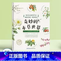 [正版]新书 奇妙的本草世界二十四节气本草百科 中医文化中草药全图鉴 中草药彩图大全书 少儿科普中小学生儿童学习本草