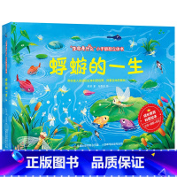蜉蝣的一生❤ [正版]全套6册 不一样的青蛙和蟾蜍 生命是什么小手翻翻立体书全套 立体书儿童3d立体书3d立体儿童绘本故
