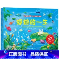 蜉蝣的一生❤ [正版]全套6册 不一样的青蛙和蟾蜍 生命是什么小手翻翻立体书全套 立体书儿童3d立体书3d立体儿童绘本故