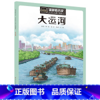 5.大运河 [正版]漫眼看历史 中华文化遗产图画书系列 儿童版历史百科 秦始皇兵马俑丝绸之路文化遗产书籍6-9-12周岁