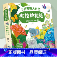 考拉种花花[加厚版触摸书] [正版]小手摸摸大自然触摸书全4册 婴儿书早教绘本宝宝1岁半立体书幼儿启蒙不烂触感刺激认知读