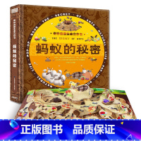 蚂蚁的秘密 [正版]蚂蚁的秘密 奇妙自然生命立体书 儿童3d立体翻翻书书 宝宝早教启蒙绘本翻翻书 幼儿撕不烂神奇生命益智