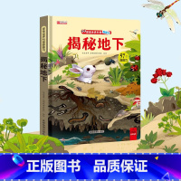 揭秘地下 [正版]探秘交通工具 探索世界科普翻翻书揭秘系列儿童3d立体书0到2-3-6-7-8-10岁以上宝宝绘本故事书