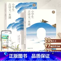 小学生古诗文一本通(上下册) [正版]中学生古诗文一本通上下册全套 初中古诗词和文言文全解一本通中学生语文古诗文完全解读