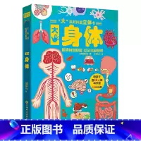 大系列科普立体书-大身体 [正版]大系列科普立体书 大森林儿童3D立体书翻翻书机关书趣味百科全书3-6岁幼儿小学课外儿童