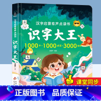 汉字启蒙有声点读书:识字大王 [正版]一起听西游儿歌 国学经典西游记发声书 0-2-3岁儿童有声读物幼儿早教书籍宝宝点读