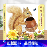 碰一碰,谁的身体扎扎手 [正版]宝宝好习惯互动手偶书 小兔彼得小熊宝宝 婴儿早教绘本好玩的洞洞书0-1到2岁儿童书籍适合