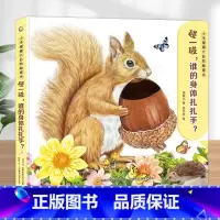 碰一碰,谁的身体扎扎手 [正版]宝宝好习惯互动手偶书 小兔彼得小熊宝宝 婴儿早教绘本好玩的洞洞书0-1到2岁儿童书籍适合