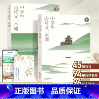 中学生古诗文一本通(上下册) [正版]中学生古诗文一本通上下册全套 初中古诗词和文言文全解一本通中学生语文古诗文完全解读