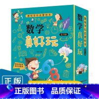 数学真好玩(套装共20册) [正版]数学真好玩+物理真好玩套装共40册 趣味学科启蒙绘本好玩的数学原来可以这样学帮帮忙幼