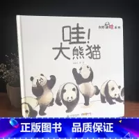 [正版] 哇!大熊猫 绘本0-3-4-5-6周岁少幼儿童宝宝早教启蒙绘本图画故事书 亲子阅读幼儿园中班早教经典睡前图画故