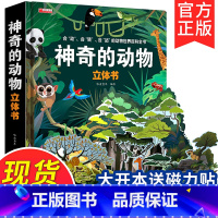 [超大开本]神奇的动物3d立体书 [正版]探秘海洋3D立体书海底世界ar书动物世界百科全书揭秘系列儿童大大翻翻书幼儿科普