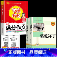 [完整版 3册]海底两万里+骆驼祥子+中考满分作文 [正版]完整版海底两万里和骆驼祥子原著老舍七年级下册名著导读初中生课