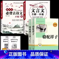 [完整版 4册]海底两万里+骆驼祥子+文言文全解+ 古诗文 [正版]完整版海底两万里和骆驼祥子原著老舍七年级下册名著导读