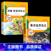 鲁滨逊漂流记+汤姆索亚历险记 [正版]全套4册 鲁滨逊漂流记六年级下册的课外书阅读原著完整版汤姆索亚历险记爱丽丝漫游奇境