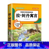 [单本]拉•封丹寓言 [正版]全4册 中国古代寓言故事三年级下册快乐读书吧全套阅读书目 伊索寓言克雷洛夫寓言拉封丹寓言故