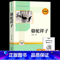 [完整版]骆驼祥子 送考点 [正版]完整版海底两万里和骆驼祥子原著老舍七年级下册名著导读初中生课外书阅读老师精装版文学经