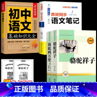 [完整版 4册]海底两万里+骆驼祥子+初中语文笔记+基础知识大全 [正版]完整版海底两万里和骆驼祥子原著老舍七年级下册名