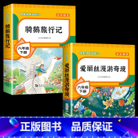 爱丽丝漫游奇境+骑鹅旅行记 [正版]全套4册 鲁滨逊漂流记六年级下册的课外书阅读原著完整版汤姆索亚历险记爱丽丝漫游奇境尼