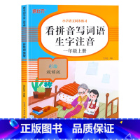 [上册]看拼音写词语 小学一年级 [正版]老师一年级上下册看拼音写词语生字注音人教版 小学1上组词造句专项训练仿句词语积