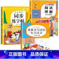 [上册]看拼音写词语+阅读理解+同步练字帖 小学一年级 [正版]老师一年级上下册看拼音写词语生字注音人教版 小学1上组词