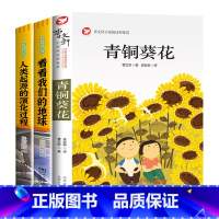 [全3册]青铜葵花+看看我们的地球+人类起源的演化过程 [正版]青铜葵花曹文轩 四年级阅读课外书阅读小英雄雨来宝葫芦的秘