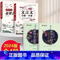 [全4本]初中文言文+古诗文+文言文字帖+古诗文字帖 初中通用 [正版]2024版 初中文言文全解一本通必背古诗文138